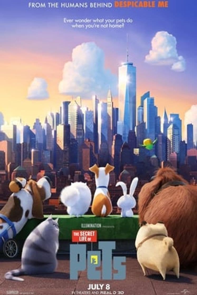 Película The Secret Life of Pets