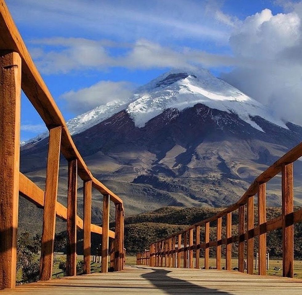 Moda Volcán Cotopaxi