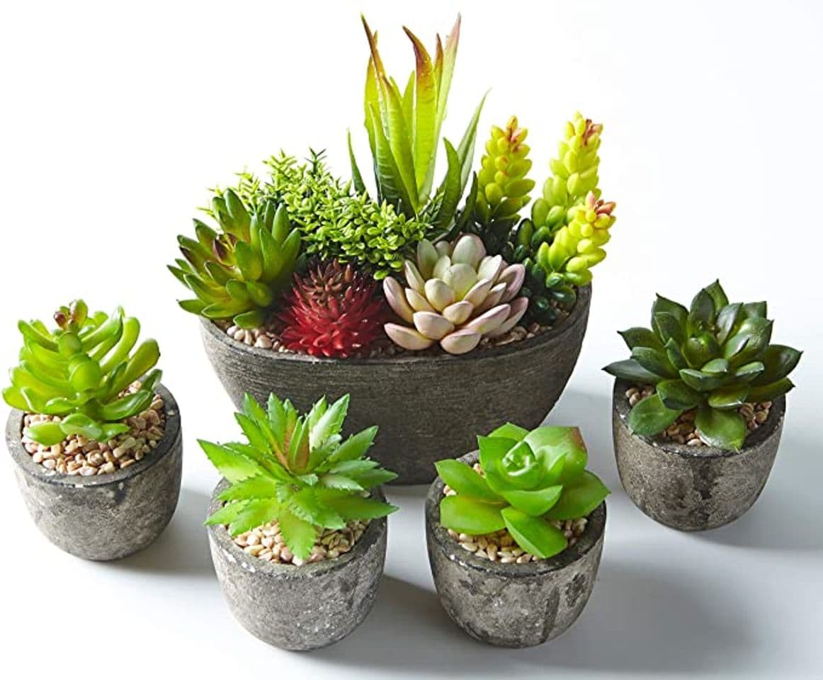 Producto Jobary 5pcs Plantas Suculentas Artificiales Falso Plantas Decorativas Suculentas，Ideal para el Hogar