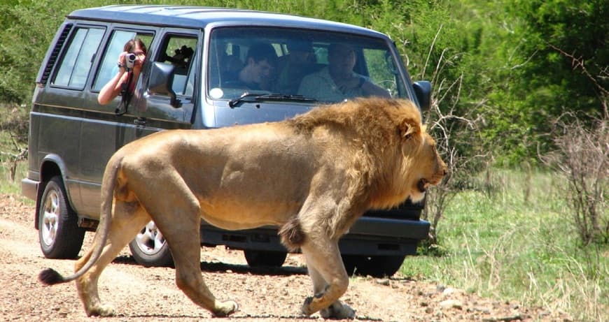 Lugar Kruger Park