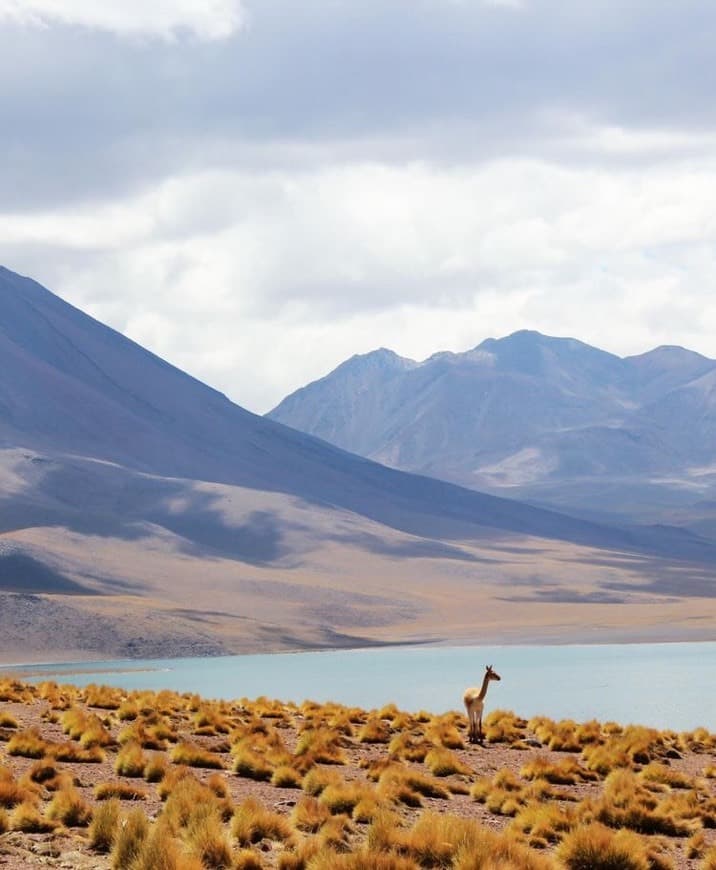 Place Desierto de Atacama