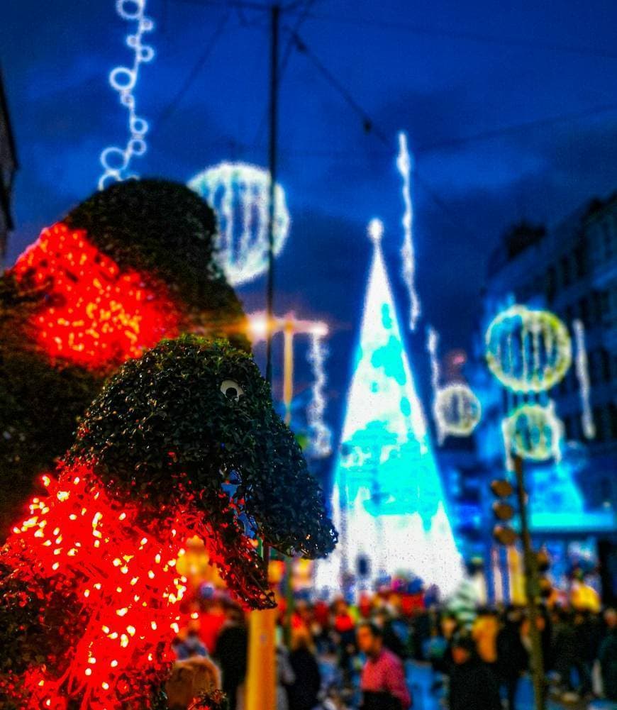 Lugar Luces de Navidad