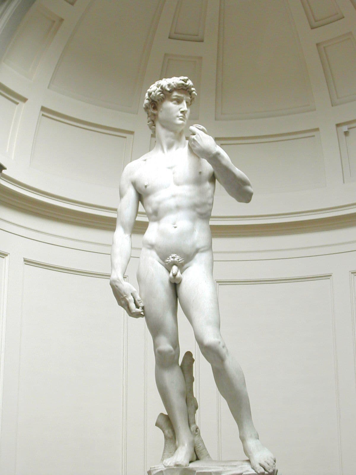 Lugar David of Michelangelo