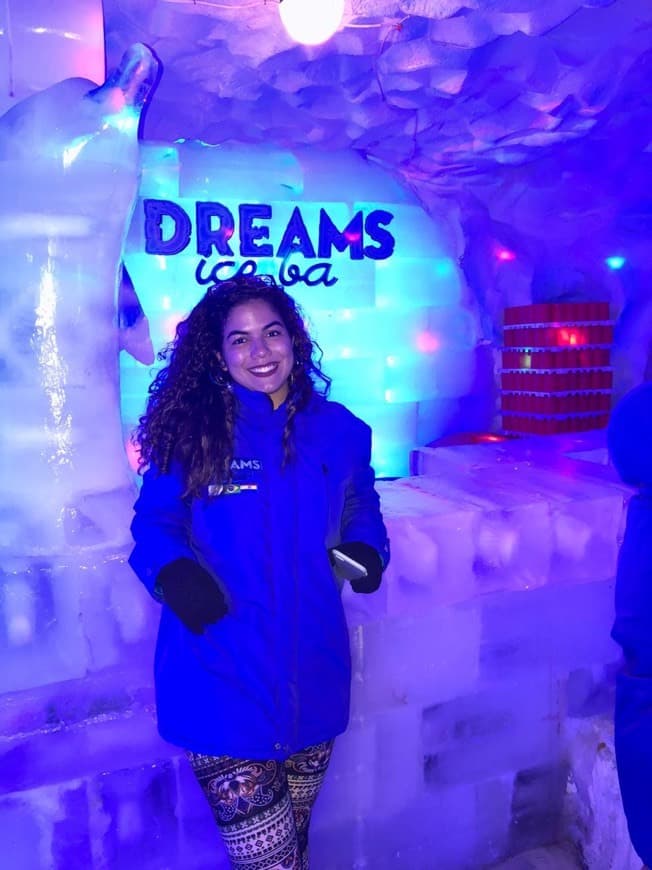 Place Dreams Ice Bar