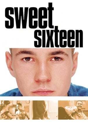 Movie Sweet Sixteen