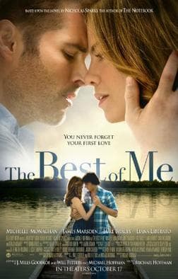 Película The best of me 