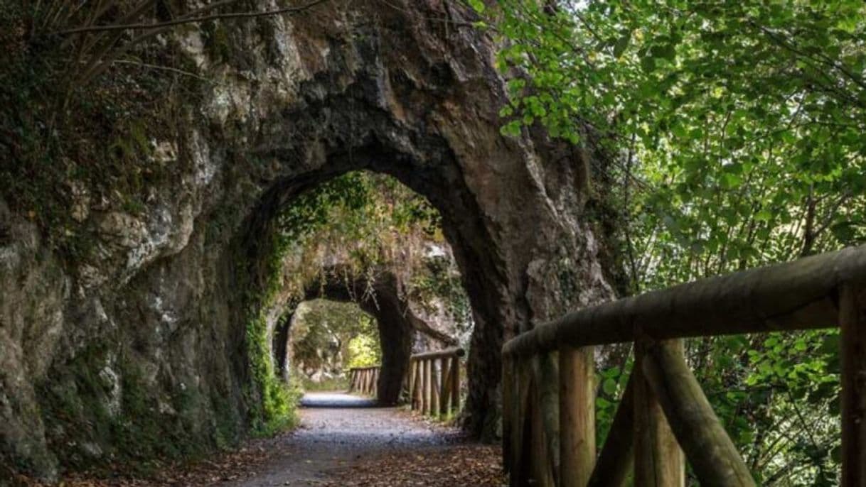 Lugar Senda del Oso