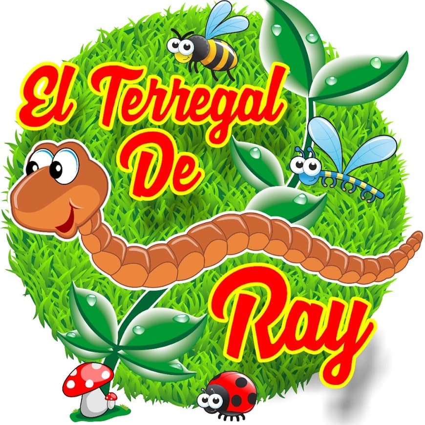 Fashion EL TERREGAL DE RAY - YouTube