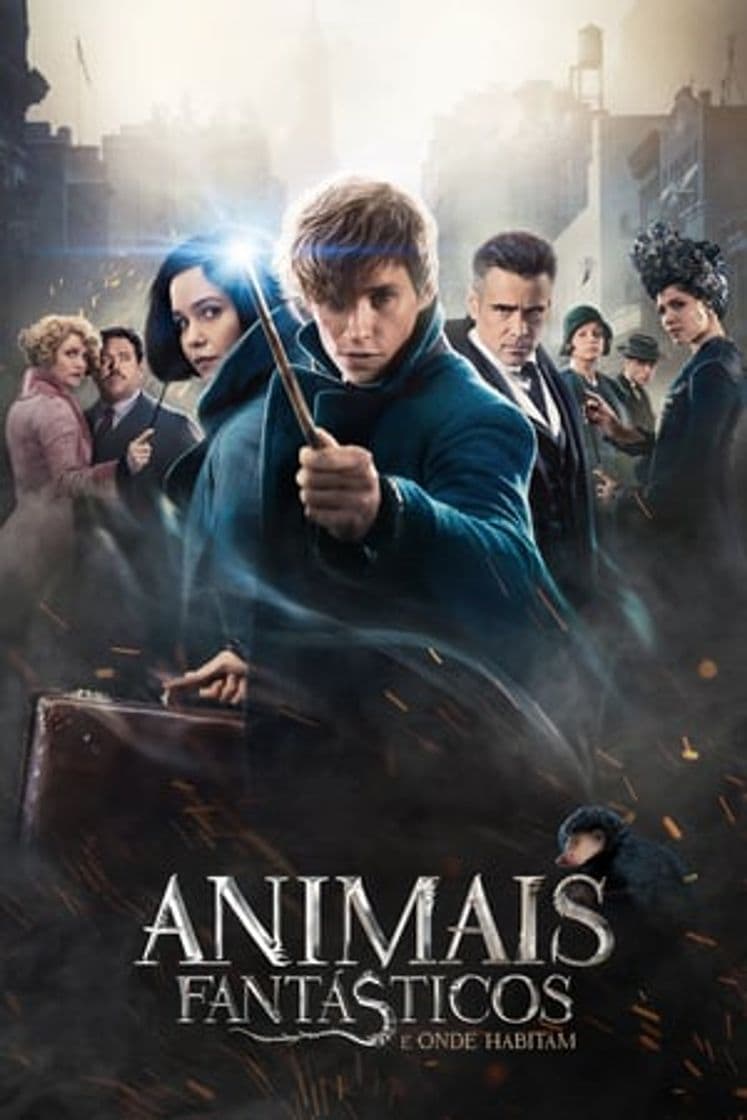 Movie Fantastic Beasts and Where to Find Them