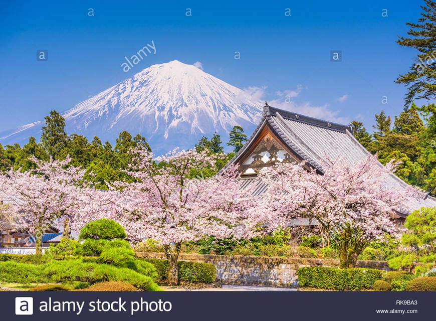 Lugar Mount Fuji