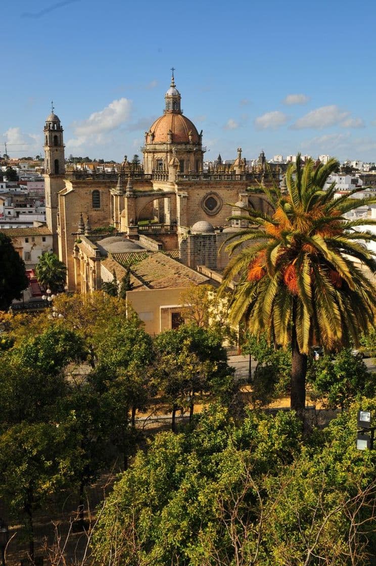 Place Jerez de la Frontera