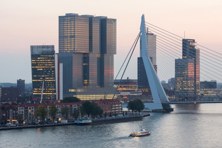 Place Rotterdam