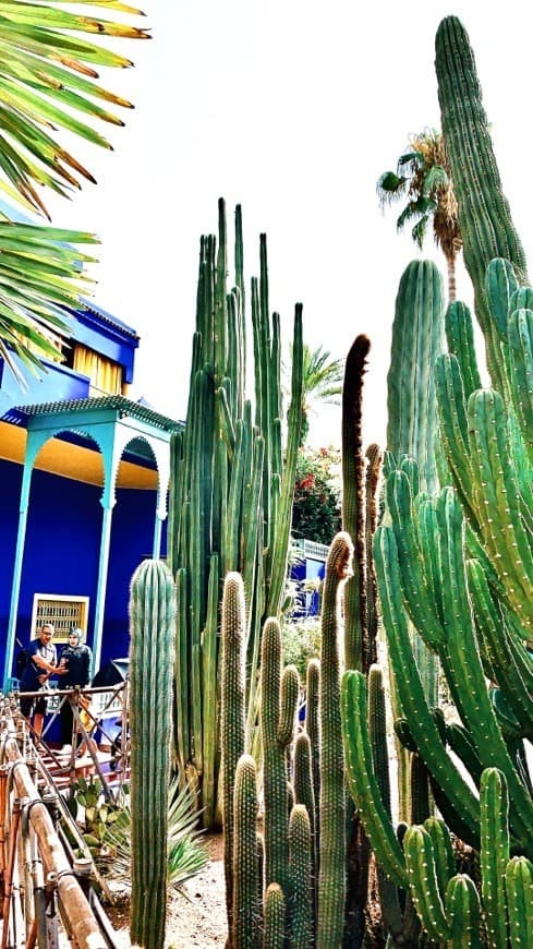 Place Jardín Majorelle