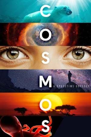 Serie Cosmos