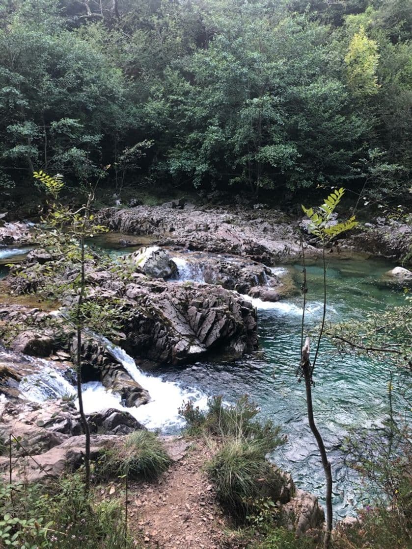 Place Playa fluvial Hoya de San Vicente