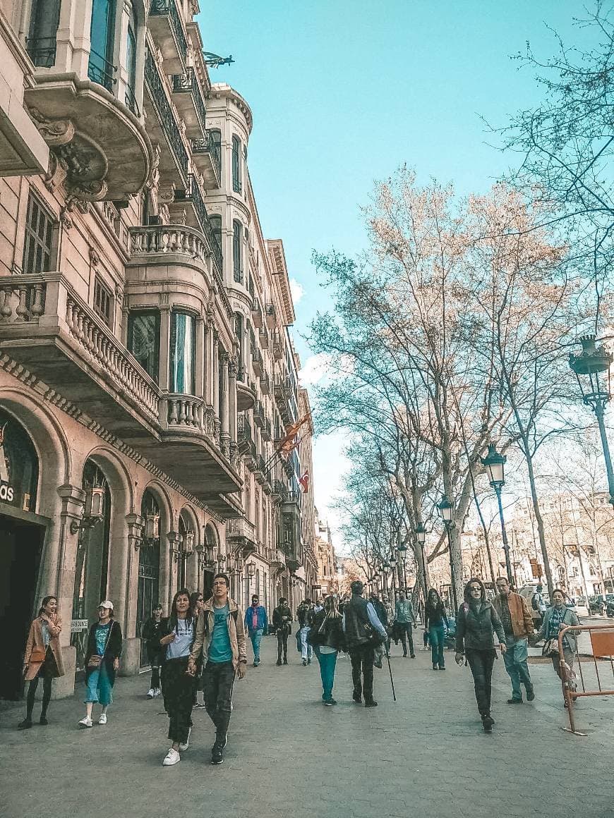 Lugar Passeig de Gràcia