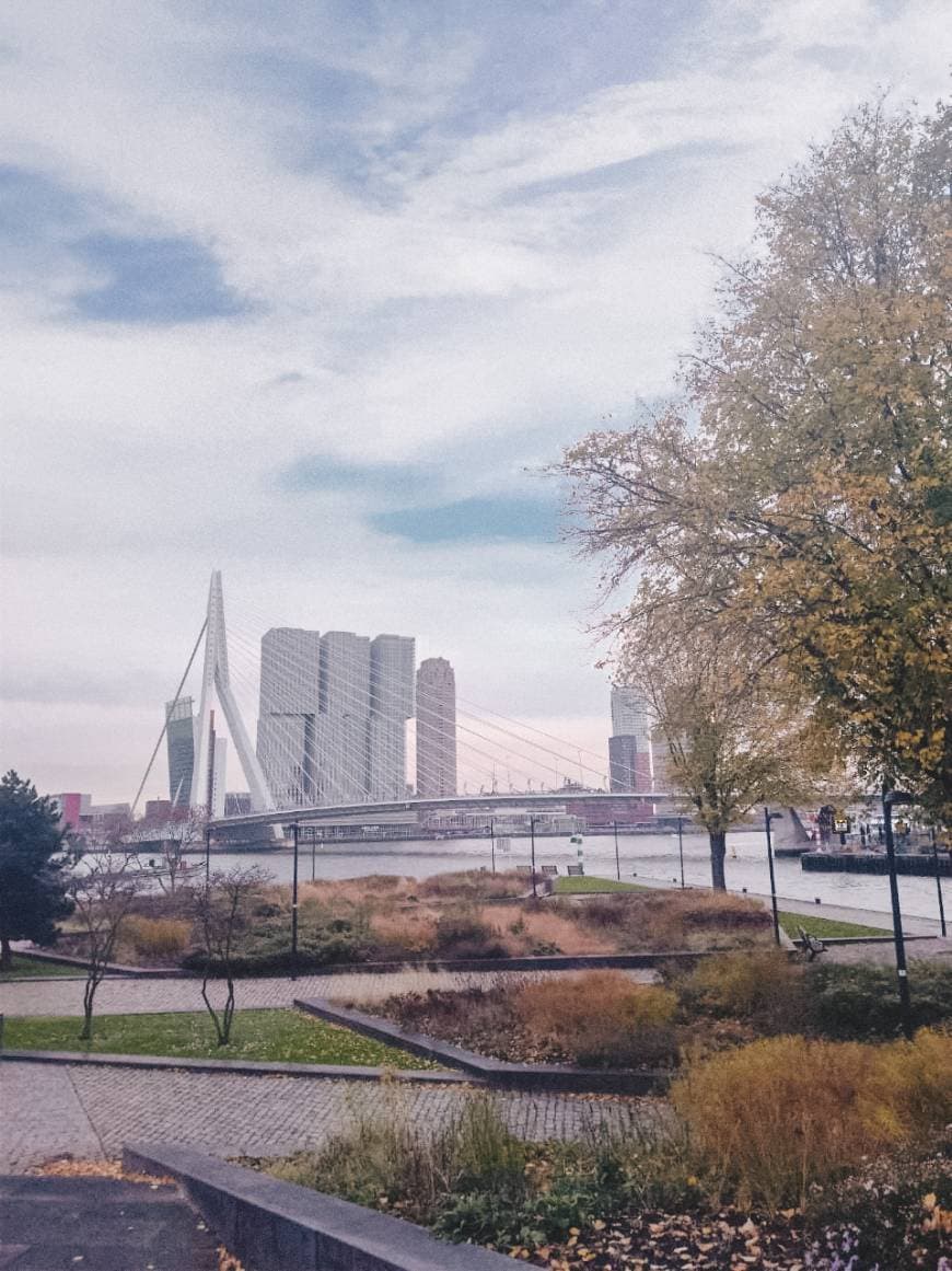 Lugar Rotterdam