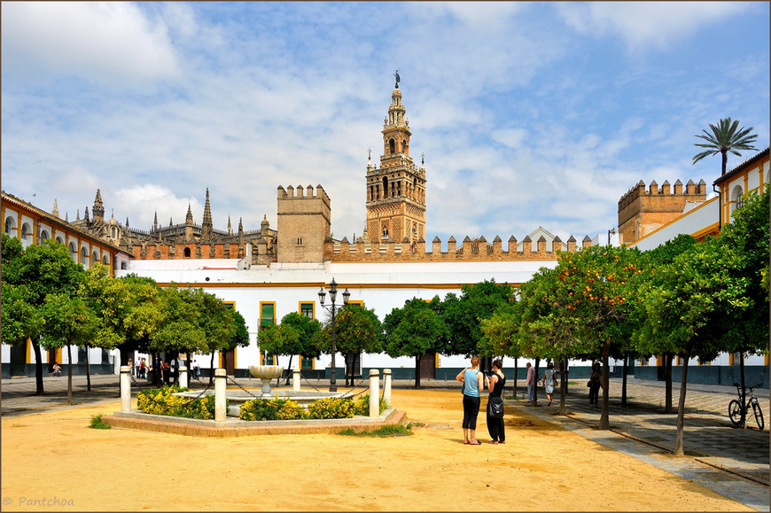 Place Plaza del Patio de Banderas