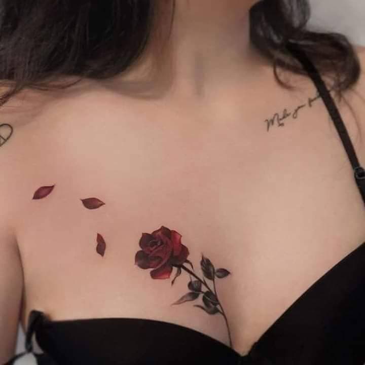 Moda Rosa 🌹