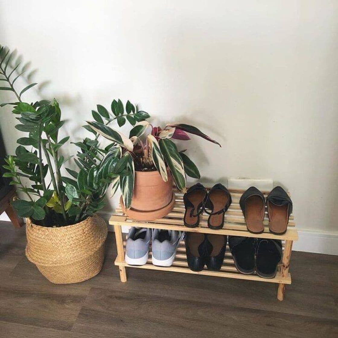 Fashion Decoração simples 🌱😍