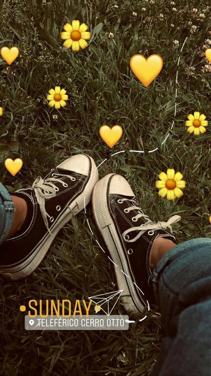 Moda 🌻🌻