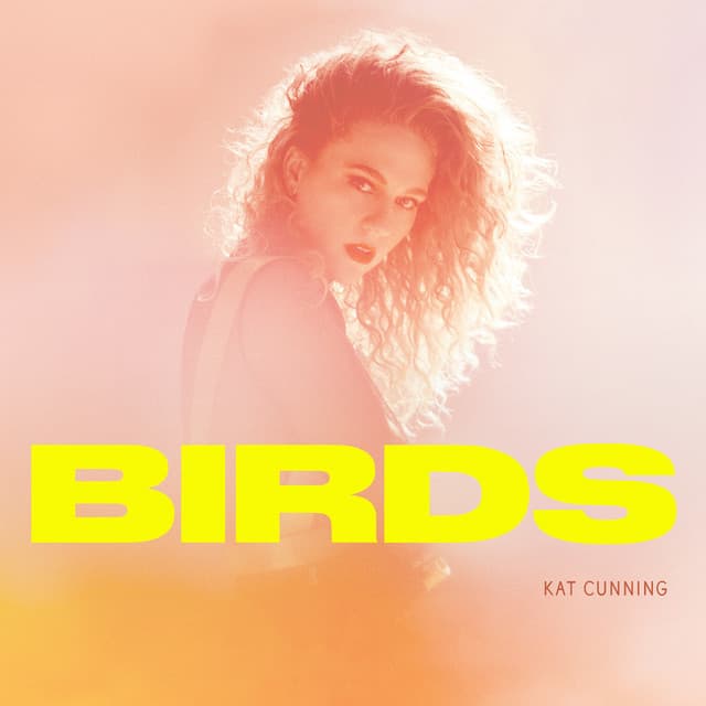 Canción Birds