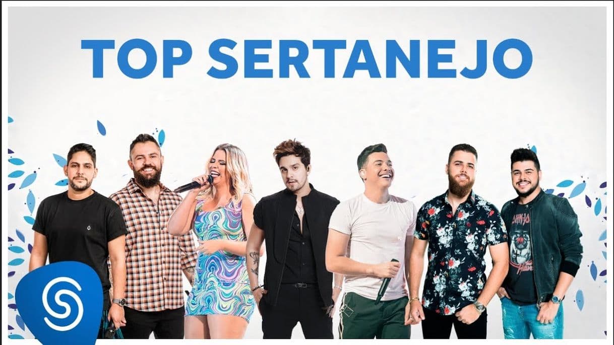 Canción Top sertanejo