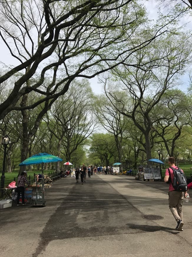 Place Central Park