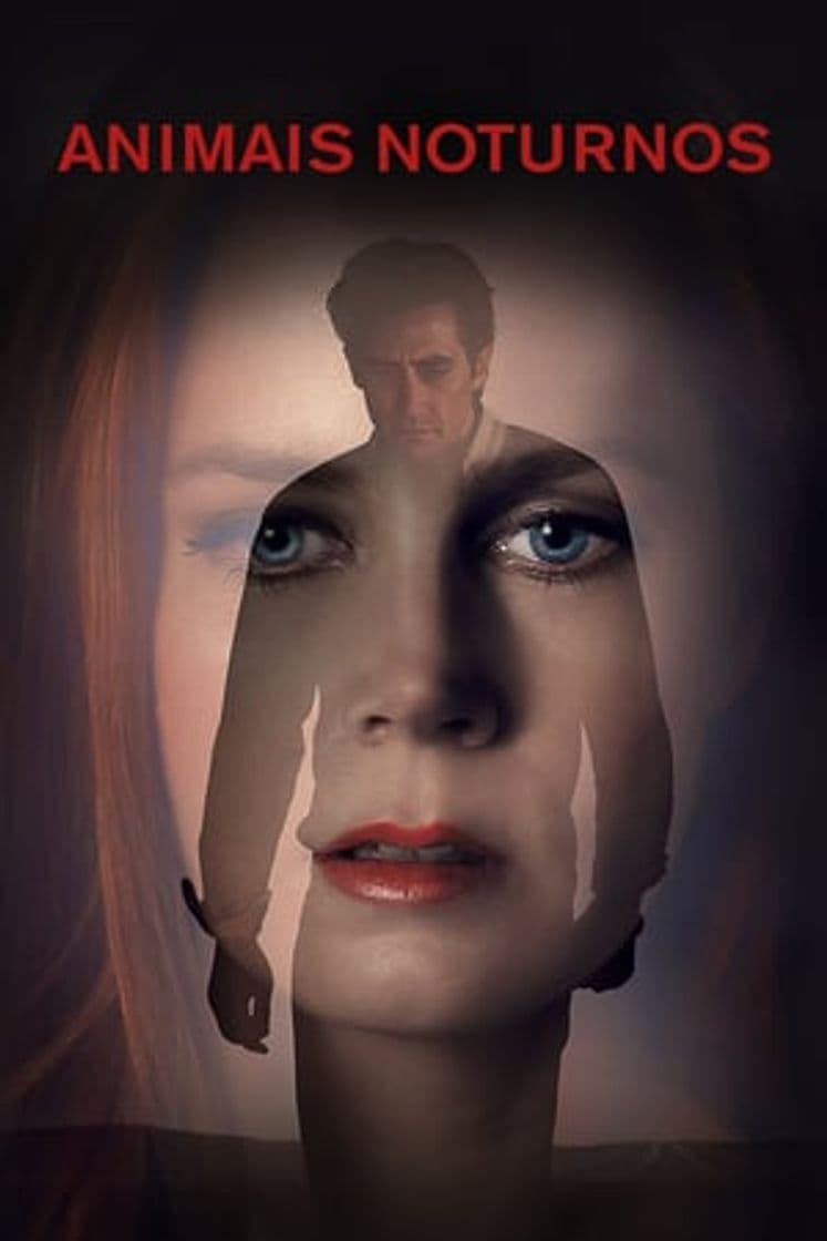 Movie Nocturnal Animals