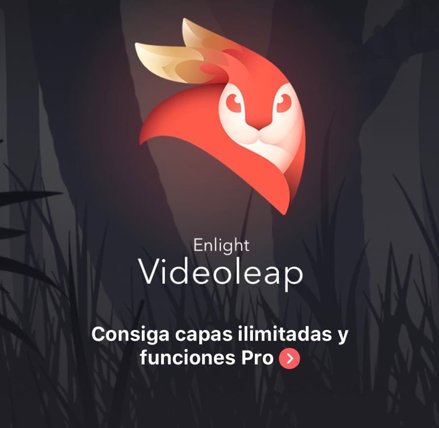 App Videoleap