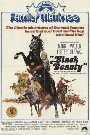 Película Black Beauty