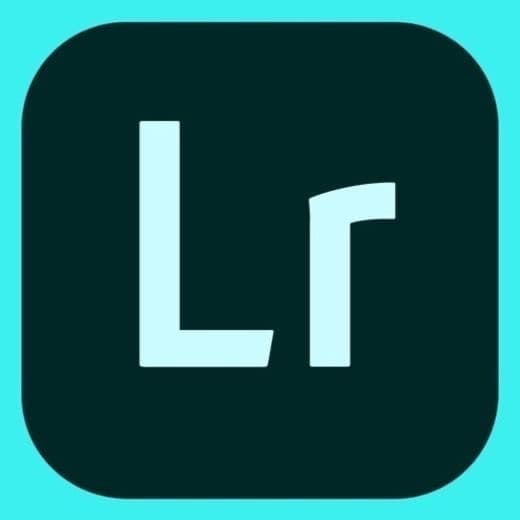 App Lightroom Mobile Edits foi Soft/Dark Academia 