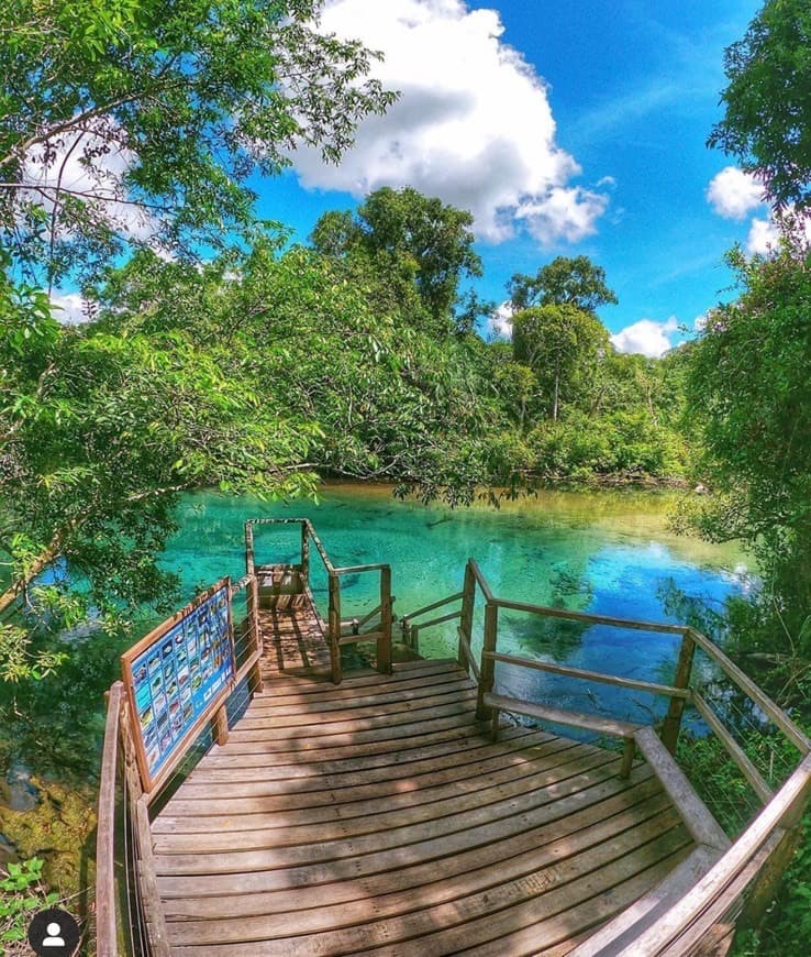 Lugar Recanto Ecológico Rio da Prata - Flutuação em Bonito, MS