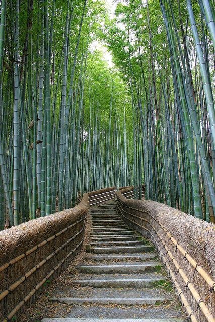 Lugar Arashiyama