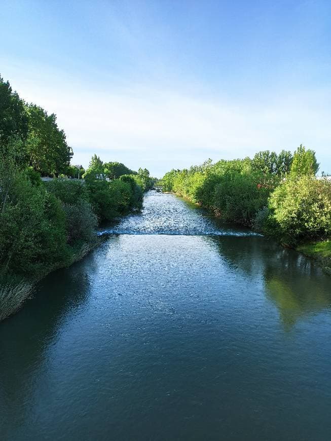 Lugar Río Bernesga