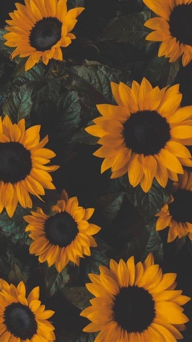 Moda 🌻sunflowers🌻