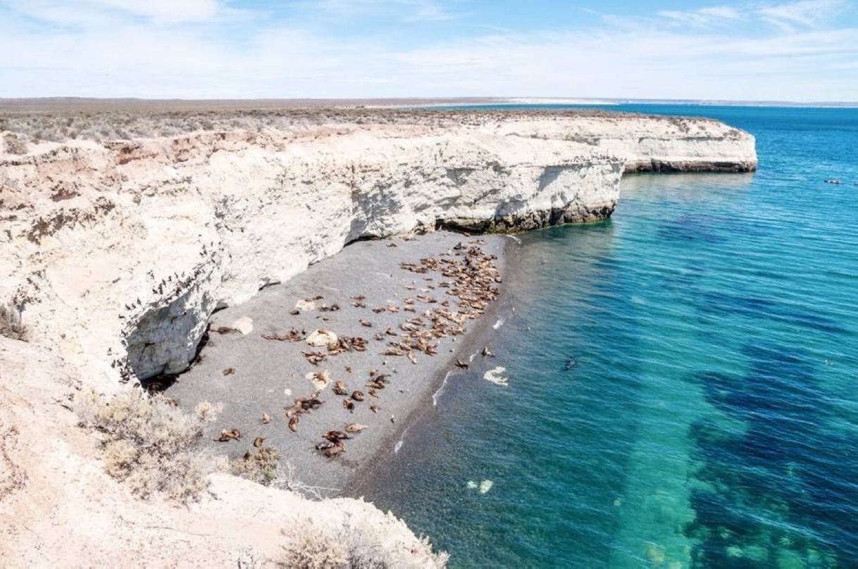 Lugar Peninsula Valdes