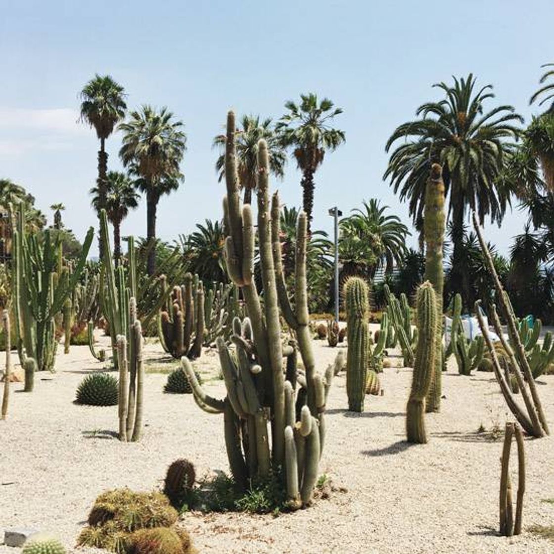 Lugar Jardines de Mossen Costa i Llobera