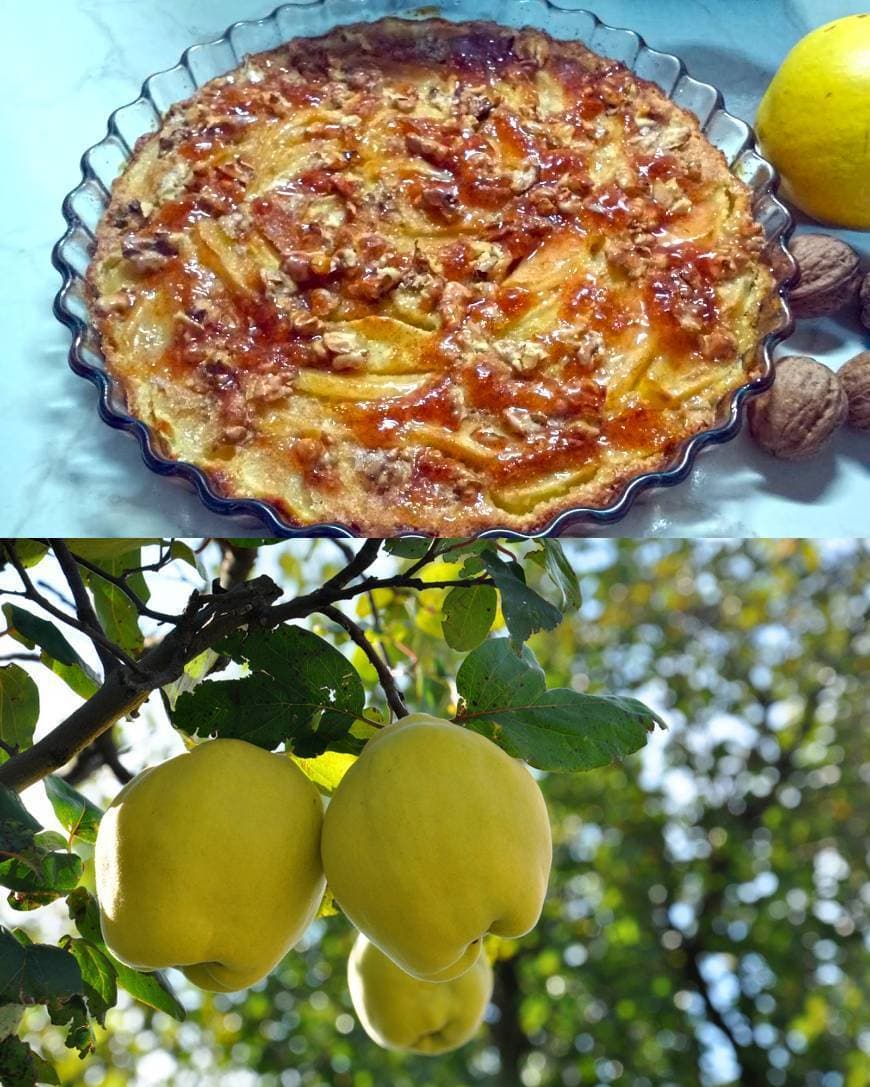 Moda Tarte de Marmelo. Combinação perfeita de texturas e sabores!