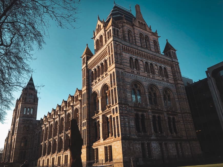 Place Natural History Museum