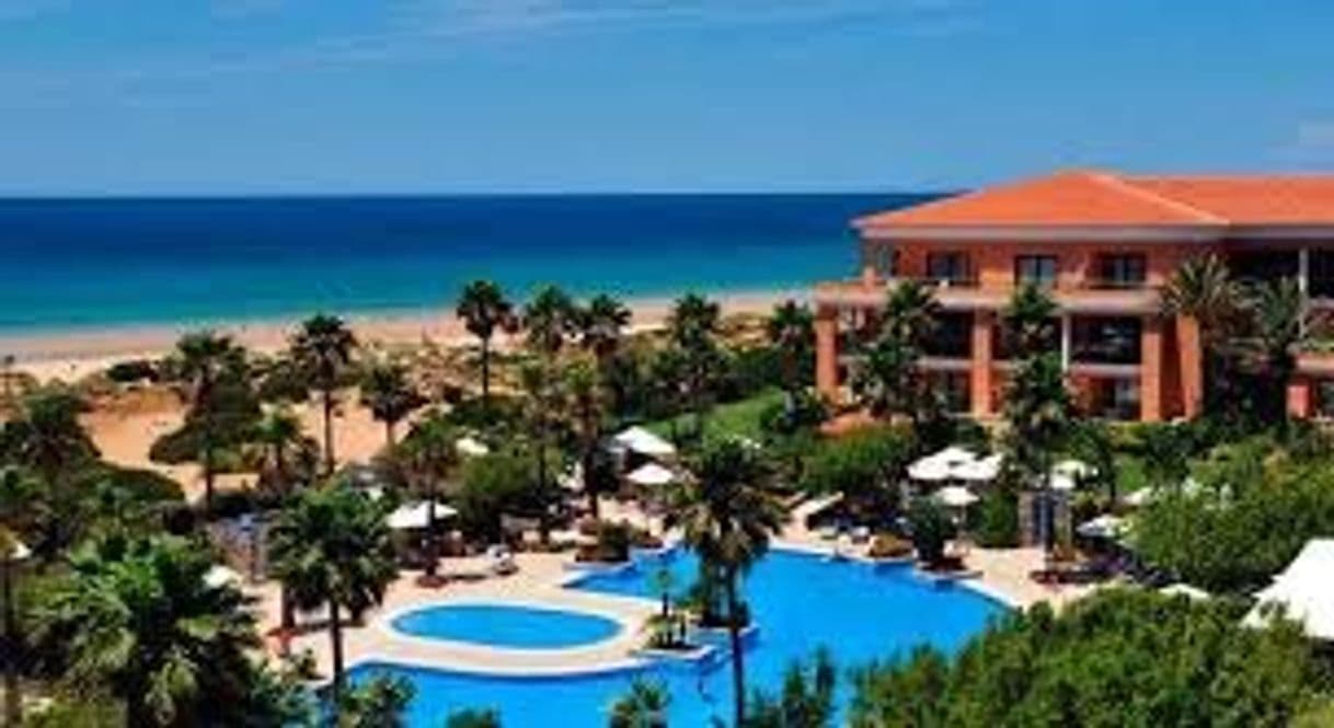 Lugar Hipotels Barrosa Palace Hotel & Spa