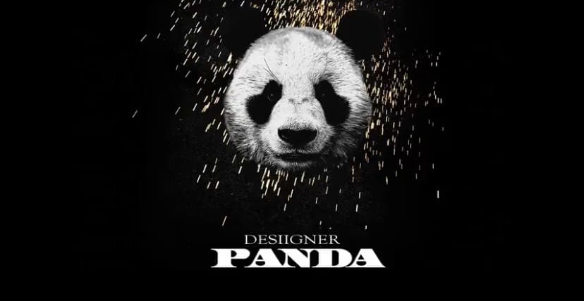 Music Panda-designer