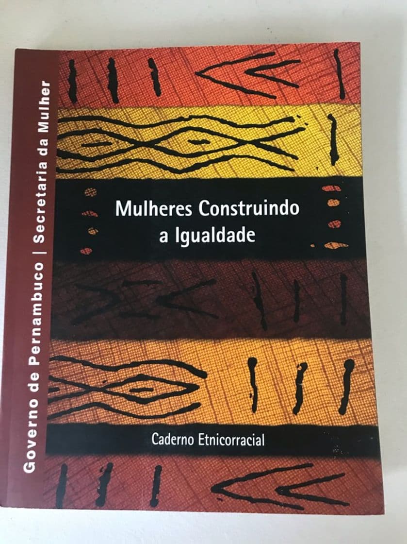 Libro (PDF) MULHERES CONSTRUINDO IGUALDADE