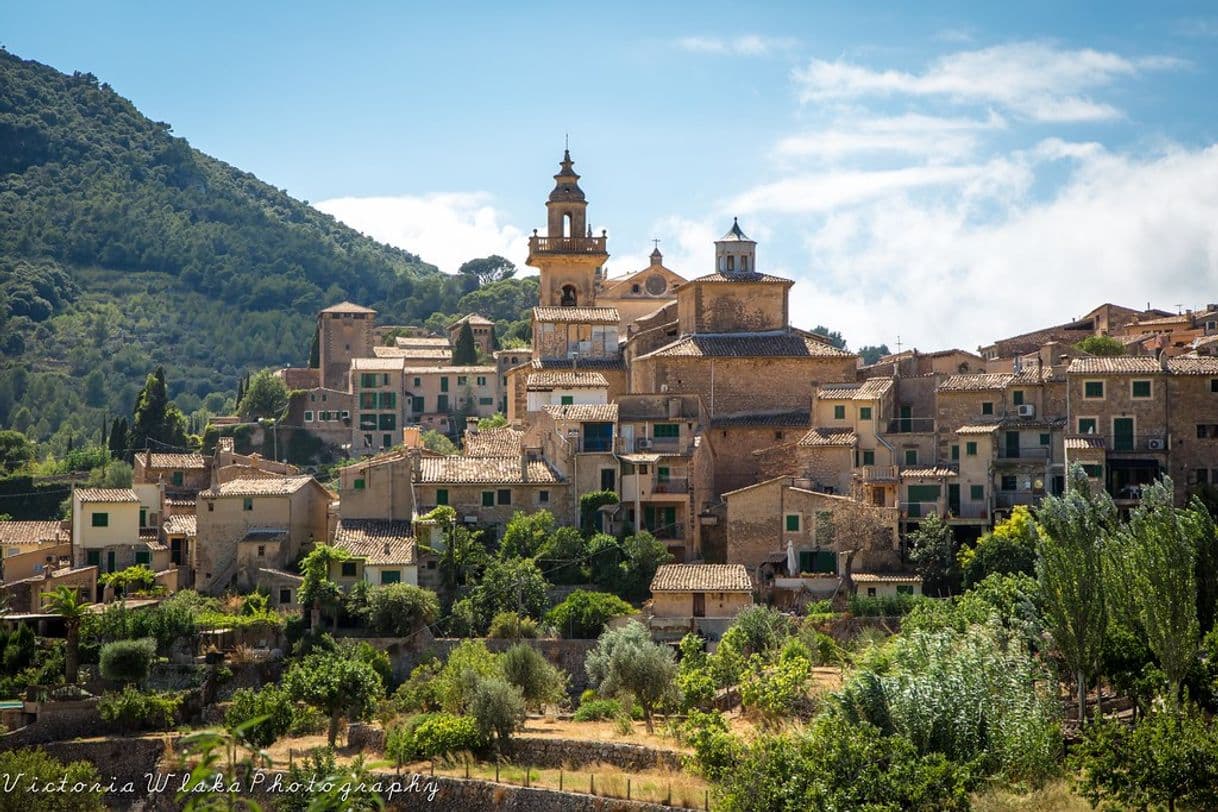 Place Valldemosa