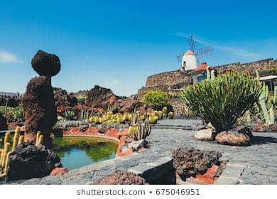 Lugar Jardín de Cactus de Lanzarote