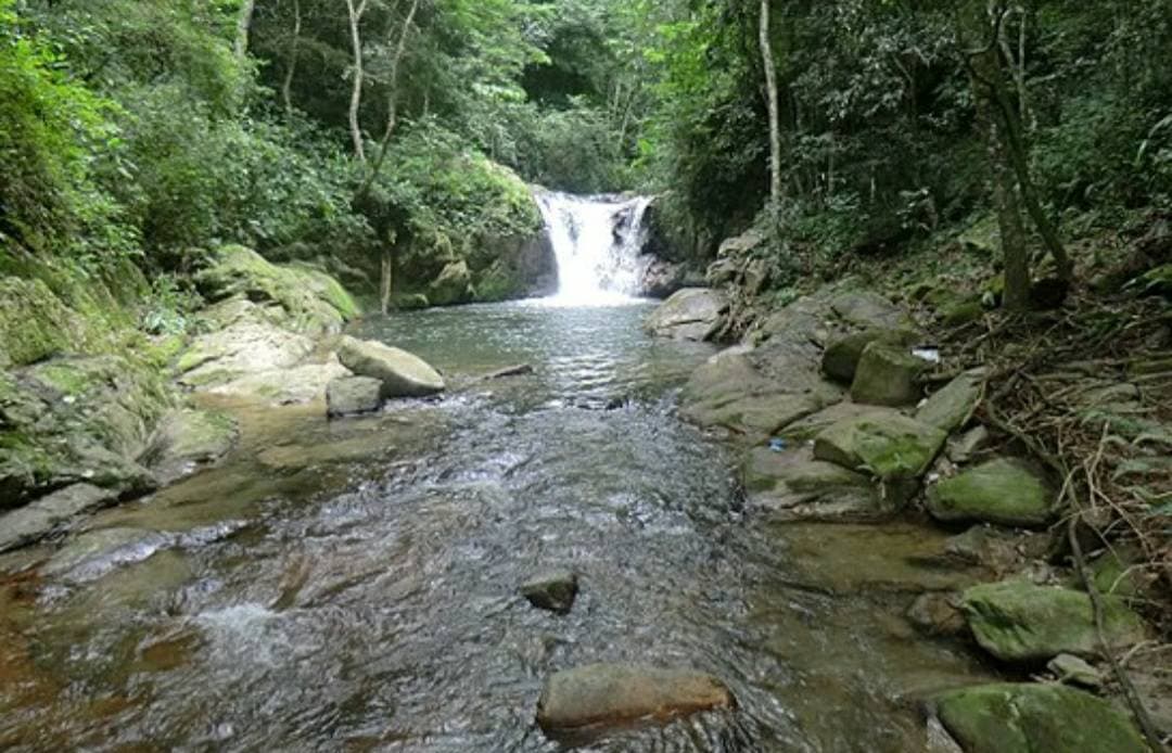 Lugar Parque Nacional El Ávila