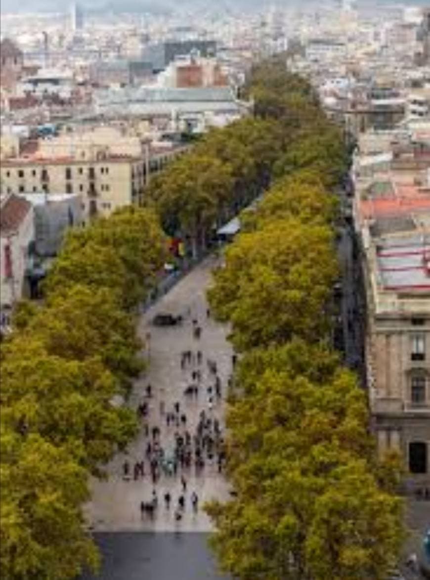 Lugar La Rambla