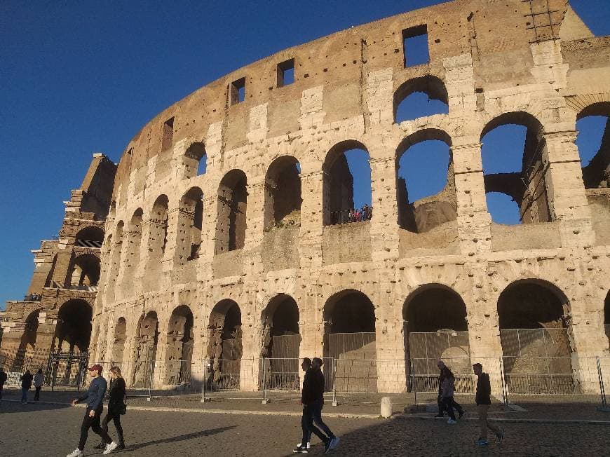 Lugar Coliseo de Roma