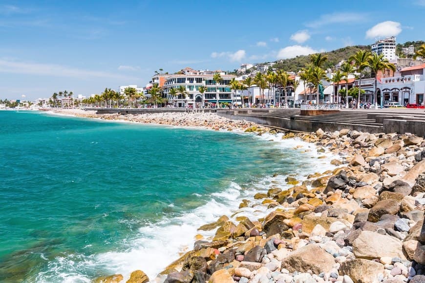 Place Puerto Vallarta