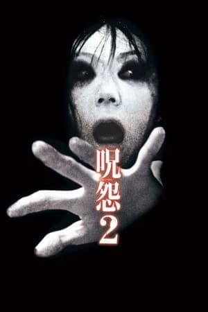 Película Ju-on: The Grudge 2